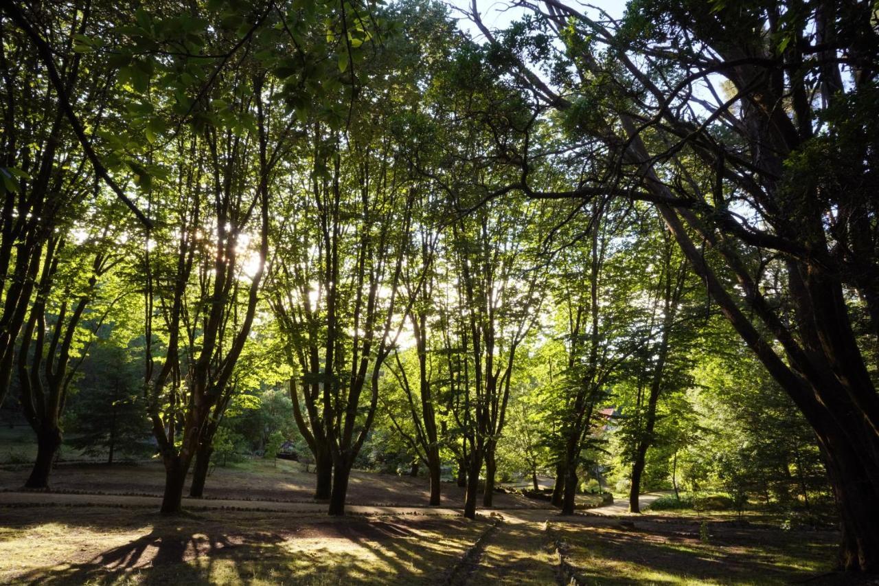 גימראייש The Grove Houses מראה חיצוני תמונה